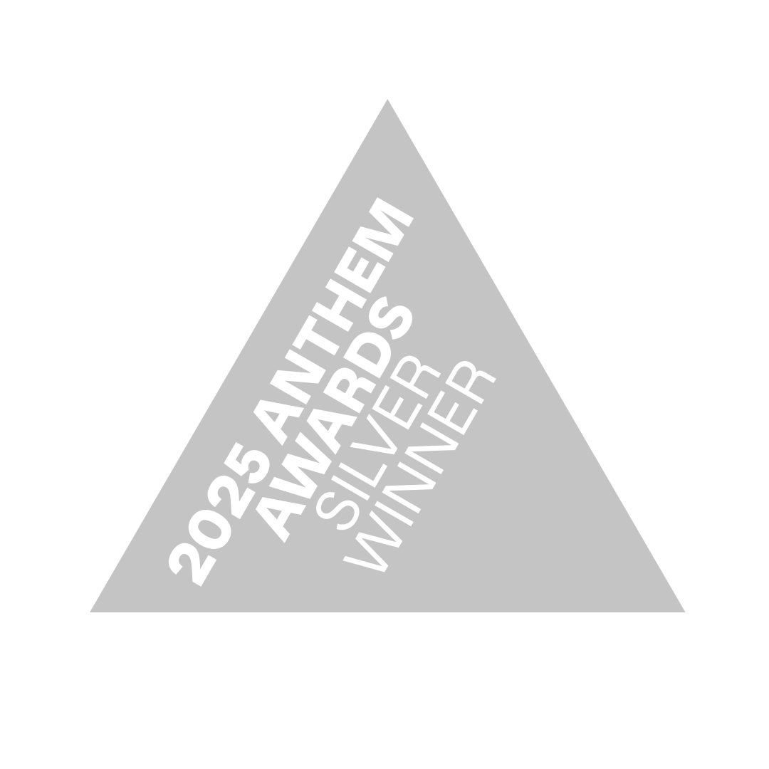 2025 Anthem Awards Silver Winner logo